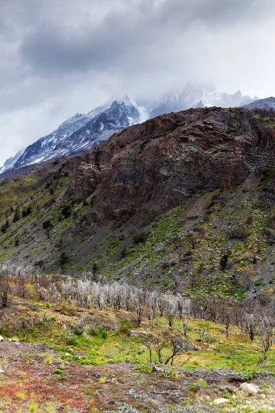 Panorama Del Parque Nacional Torres Del Paine Patagonia Chile —  Fotos de Stock