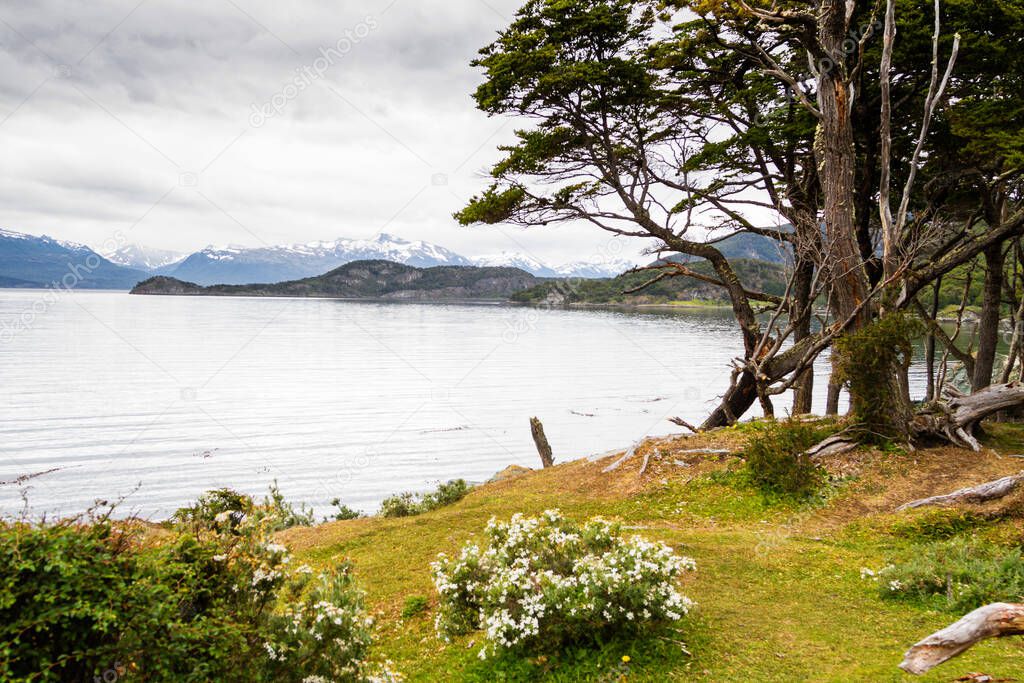 Spectacular scenic Lapataia Bay in Tierra del Fuego National Park, Ushuaia, Patagonia, Argentina, South America