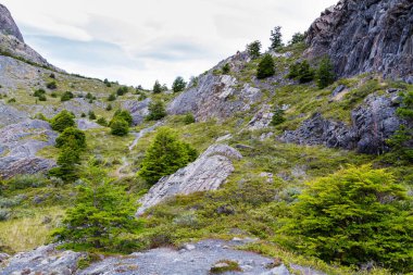 Patagonya, Şili 'deki Şilili Torres del Paine Milli Parkı Panoraması