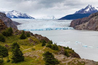 Patagonya, Şili 'deki Şilili Torres del Paine Milli Parkı Panoraması
