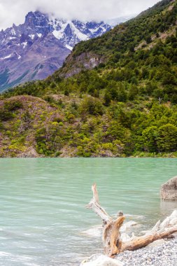 Manzaranın destansı güzelliği. Güney Şili 'deki Torres del Paine Ulusal Parkı. Lago Nordernskjold ve arkada dağlar