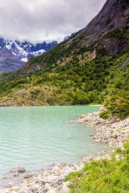 Manzaranın destansı güzelliği. Güney Şili 'deki Torres del Paine Ulusal Parkı. Lago Nordernskjold ve arkada dağlar