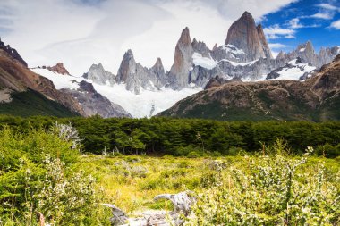 Fitz Roy Peak, Los Glaciares Ulusal Parkı, El Chalten, Patagonya, Arjantin