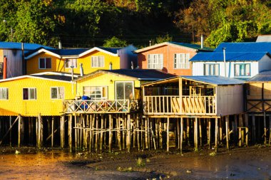Palafito, Castro, Chiloe Adası, Patagonya, Şili 'deki tesislerde yaşıyor.