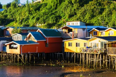 Palafito, Castro, Chiloe Adası, Patagonya, Şili 'deki tesislerde yaşıyor.