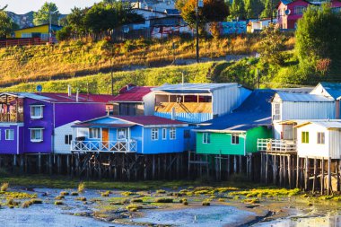 Palafito, Castro, Chiloe Adası, Patagonya, Şili 'deki tesislerde yaşıyor.