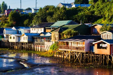 Palafito, Castro, Chiloe Adası, Patagonya, Şili 'deki tesislerde yaşıyor.
