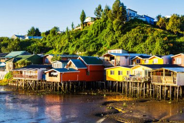 Palafito, Castro, Chiloe Adası, Patagonya, Şili 'deki tesislerde yaşıyor.