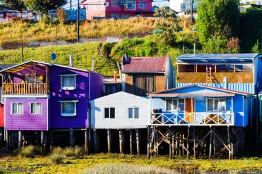 Palafito, Castro, Chiloe Adası, Patagonya, Şili 'deki tesislerde yaşıyor.
