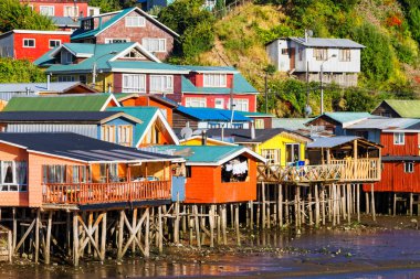 Palafito, Castro, Chiloe Adası, Patagonya, Şili 'deki tesislerde yaşıyor.
