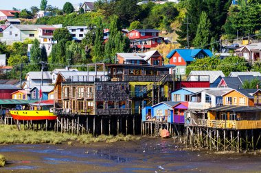 Palafito, Castro, Chiloe Adası, Patagonya, Şili 'deki tesislerde yaşıyor.