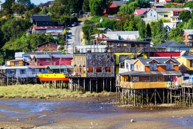 Palafito, Castro, Chiloe Adası, Patagonya, Şili 'deki tesislerde yaşıyor.