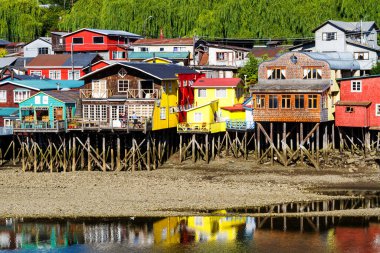 Palafito, Castro, Chiloe Adası, Patagonya, Şili 'deki tesislerde yaşıyor.