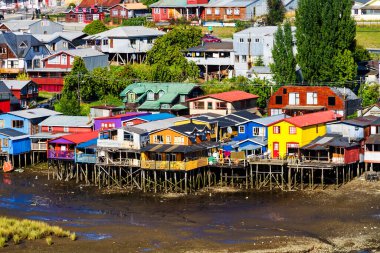 Palafito, Castro, Chiloe Adası, Patagonya, Şili 'deki tesislerde yaşıyor.