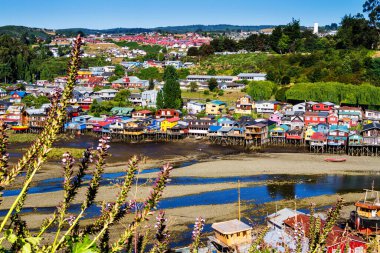 Palafito, Castro, Chiloe Adası, Patagonya, Şili 'deki tesislerde yaşıyor.
