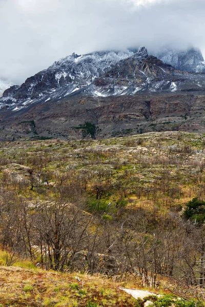 智利巴塔哥尼亚智利Torres Del Paine国家公园全景 — 图库照片