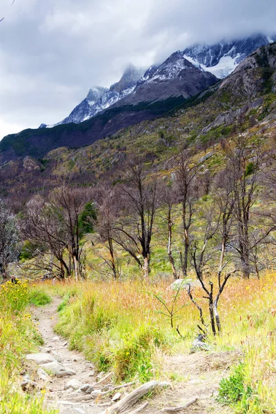 Panorama Chilského Národního Parku Torres Del Paine Patagonii Chile — Stock fotografie