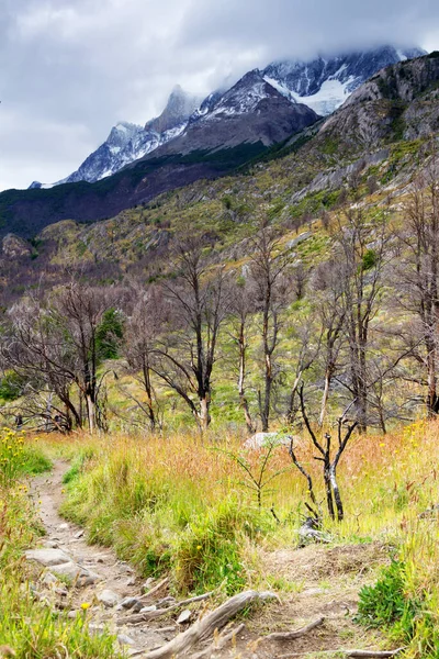 Panorama Chilského Národního Parku Torres Del Paine Patagonii Chile — Stock fotografie