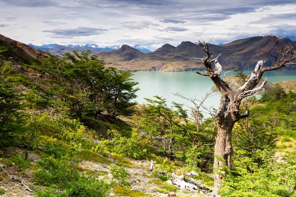 Beleza Épica Paisagem Parque Nacional Torres Del Paine Sul Chile — Fotografia de Stock