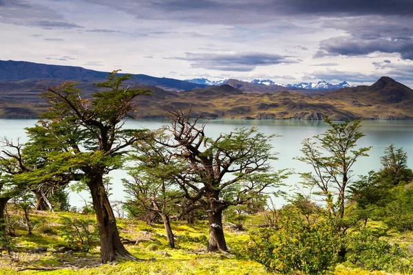 Epische Schoonheid Van Het Landschap Het Nationaal Park Torres Del — Stockfoto