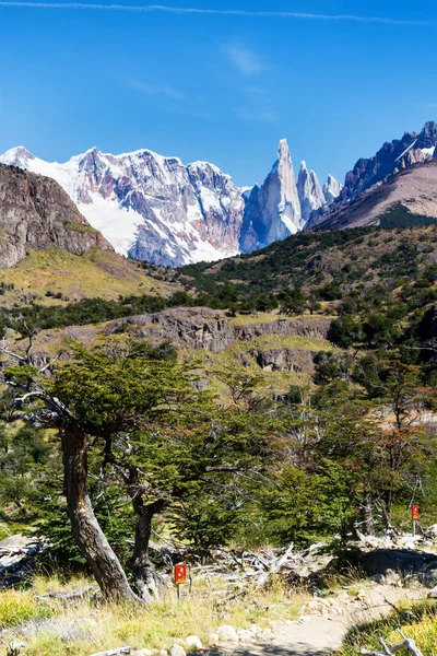 Cima Cerro Torre Parco Nazionale Los Glaciares Chalten Patagonia Argentina — Foto Stock