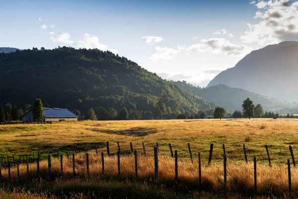 Ancien Bâtiment Bois Altéré Sur Une Ferme Carretera Austral Patagonie — Photo