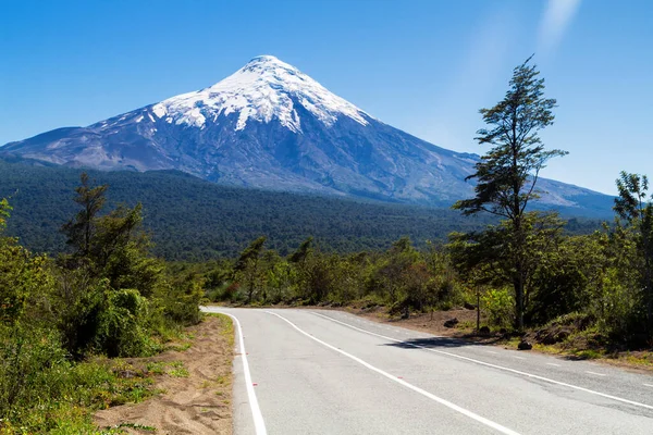 Camino Conduce Famoso Volcán Osorno Autopista Panorámica América Del Sur —  Fotos de Stock