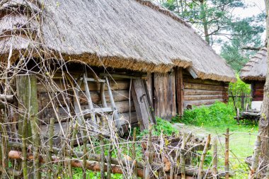 Polonya 'nın Guciow kentindeki açık hava etnografi müzesinde eski bir kulübe. Miras parkı ormanın yanında yer alır ve geçen yüzyıllardan tipik bir Polonya köyüne göç eder..