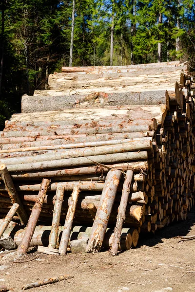 Stack Med Ved Bergen Väntar Vintern Beskid Berg Polen — Stockfoto