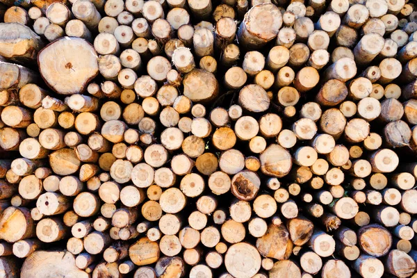 Stack Firewood Mountains Waiting Winter Beskid Mountains Poland — Stock Photo, Image