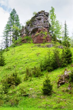 Pieniny Ulusal Parkı, Polonya 'daki Picturesque dağ manzarası