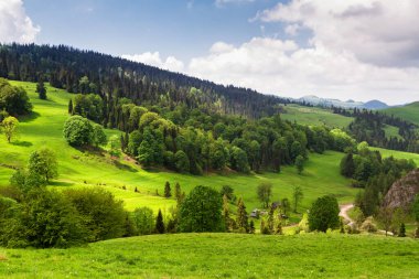 Dağlar manzaralı. Beskid Sadecki dağlarındaki çayırların ve ormanların manzarası. Karpat Dağları manzarası, Polonya. Arka planda Lomnica Zdroj köyü