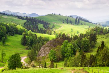Dağlar manzaralı. Beskid Sadecki dağlarındaki çayırların ve ormanların manzarası. Karpat Dağları manzarası, Polonya. Arka planda Lomnica Zdroj köyü