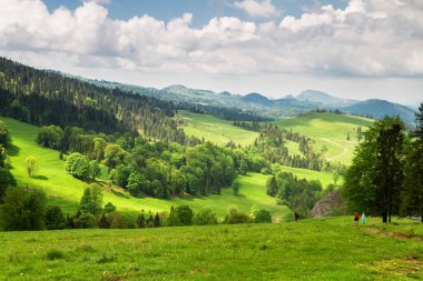 Dağlar manzaralı. Beskid Sadecki dağlarındaki çayırların ve ormanların manzarası. Karpat Dağları manzarası, Polonya. Arka planda Lomnica Zdroj köyü