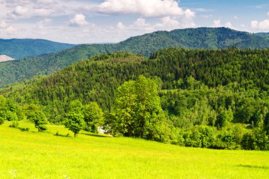 Dağlar manzaralı. Beskid Sadecki dağlarındaki çayırların ve ormanların manzarası. Karpat Dağları manzarası, Polonya. Arka planda Lomnica Zdroj köyü