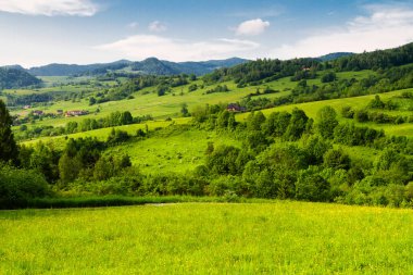 Dağlar manzaralı. Beskid Sadecki dağlarındaki çayırların ve ormanların manzarası. Karpat Dağları manzarası, Polonya. Arka planda Lomnica Zdroj köyü