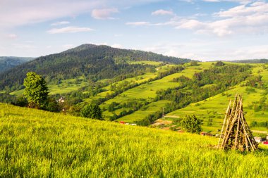 Saman ve ahşap depolama için geleneksel Slovenya yapıları, Polonya 'nın Beskid Sadecki dağlarındaki tepelik arazide saman samanı. Arkadaki Lomnica Zdroj ve Piwniczna kasabaları.