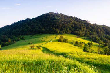 Dağlar manzaralı. Beskid Sadecki dağlarındaki çayırların ve ormanların manzarası. Karpat Dağları manzarası, Polonya. Arka planda Lomnica Zdroj köyü