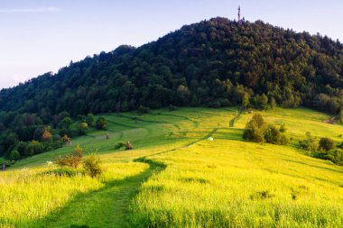 Dağlar manzaralı. Beskid Sadecki dağlarındaki çayırların ve ormanların manzarası. Karpat Dağları manzarası, Polonya. Arka planda Lomnica Zdroj köyü