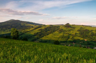 Dağlar manzaralı. Beskid Sadecki dağlarındaki çayırların ve ormanların manzarası. Karpat Dağları manzarası, Polonya. Arka planda Lomnica Zdroj köyü
