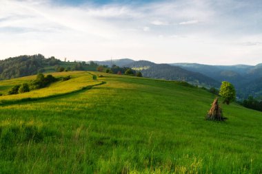 Dağlar manzaralı. Beskid Sadecki dağlarındaki çayırların ve ormanların manzarası. Karpat Dağları manzarası, Polonya. Arka planda Lomnica Zdroj köyü