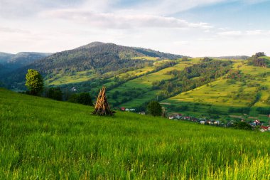 Dağlar manzaralı. Beskid Sadecki dağlarındaki çayırların ve ormanların manzarası. Karpat Dağları manzarası, Polonya. Arka planda Lomnica Zdroj köyü