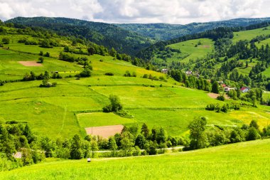 Dağlar manzaralı. Beskid Sadecki dağlarındaki çayırların ve ormanların manzarası. Karpat Dağları manzarası, Polonya. Arka planda Wierchomla köyü