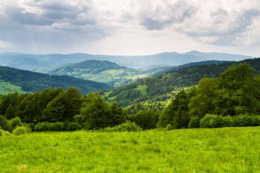 Dağlar manzaralı. Beskid Sadecki dağlarındaki çayırların ve ormanların manzarası. Karpat Dağları manzarası, Polonya. Arka planda Lomnica Zdroj köyü
