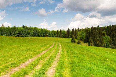 Dağlar manzaralı. Beskid Sadecki dağlarındaki çayırların ve ormanların manzarası. Karpat Dağları manzarası, Polonya. Arka planda Lomnica Zdroj köyü