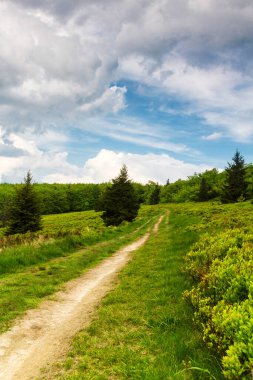 Dağlar manzaralı. Beskid Sadecki dağlarındaki çayırların ve ormanların manzarası. Karpat Dağları manzarası, Polonya. Arka planda Lomnica Zdroj köyü
