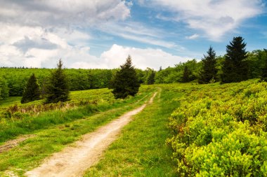 Dağlar manzaralı. Beskid Sadecki dağlarındaki çayırların ve ormanların manzarası. Karpat Dağları manzarası, Polonya. Arka planda Lomnica Zdroj köyü