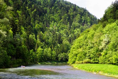 Turistler Polonya 'nın güneyindeki Dunajec nehrinde sallanıyorlar. Slovakya sınırı yakınlarındaki rafting çok popüler bir turizm merkezi..