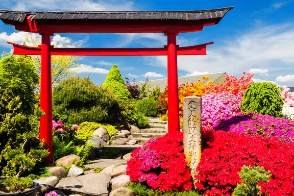 Kyoto Japan April Japanese Garden Yoto 2016 봄철은 문하기에 아름다운 — 스톡 사진