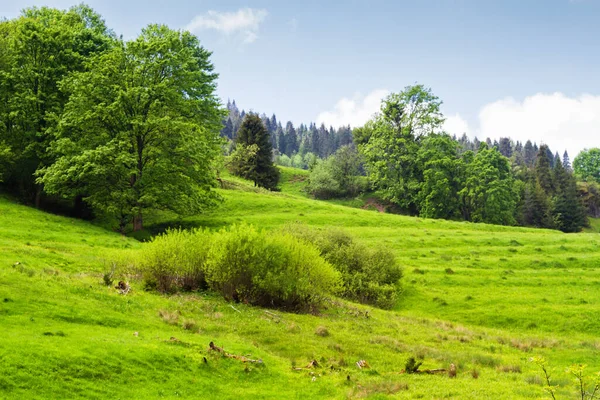 山の景色 ベスキディ サデッキ山脈の草原や森のパノラマ カルパチア山脈の風景 ポーランド 背景にあるロムニカ ズドロジ村 — ストック写真